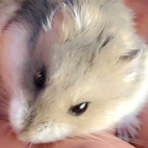 Meet your Posher, Lexi